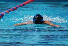 Enlarge photo 625