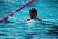 Enlarge photo 645