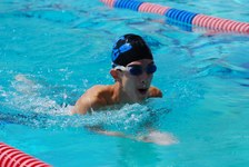 Enlarge photo 684