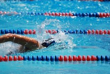 Enlarge photo 731