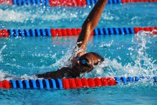 Enlarge photo 48