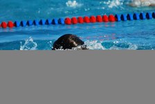 Enlarge photo 355