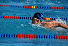 Enlarge photo 61