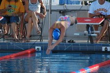 Enlarge photo 73