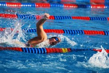 Enlarge photo 75