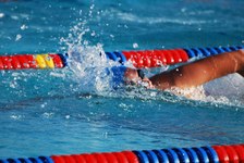 Enlarge photo 76