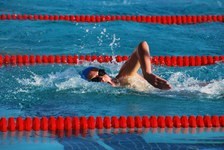 Enlarge photo 77