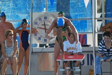 Enlarge photo 92