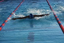 Enlarge photo 137