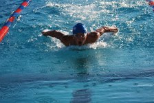 Enlarge photo 138