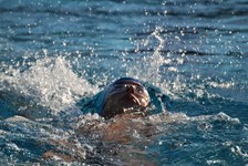 Enlarge photo 142