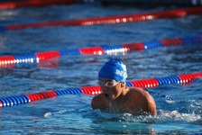 Enlarge photo 145