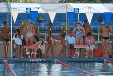 Enlarge photo 151