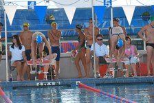 Enlarge photo 156