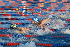 Enlarge photo 184