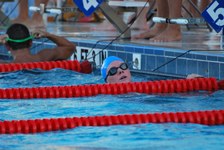 Enlarge photo 242