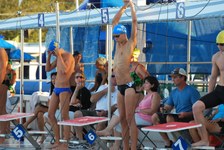 Enlarge photo 248