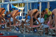 Enlarge photo 252