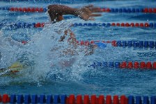 Enlarge photo 255