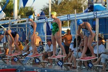 Enlarge photo 264