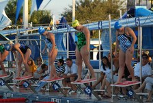 Enlarge photo 265