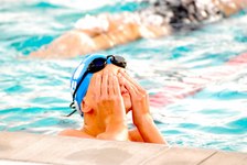 Enlarge photo 446