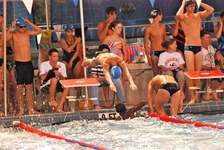 Enlarge photo 335