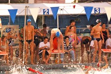 Enlarge photo 336