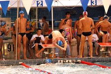 Enlarge photo 337