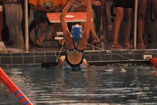 Enlarge photo 341