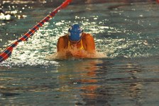 Enlarge photo 379