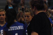 Enlarge photo 119