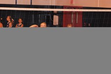 Enlarge photo 182