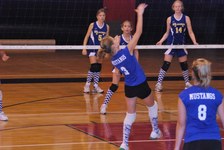 Enlarge photo 152
