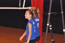 Enlarge photo 157
