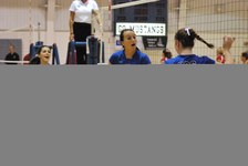 Enlarge photo 609