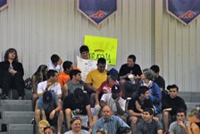 Enlarge photo 216