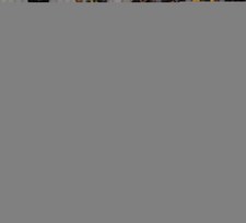 Enlarge photo 698