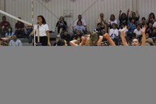 Enlarge photo 428