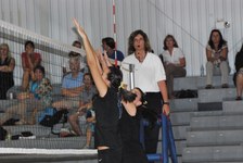 Enlarge photo 343