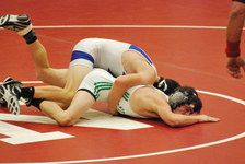 Enlarge photo 113