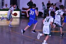 Enlarge photo 60