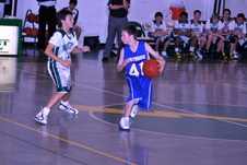Enlarge photo 71
