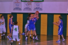 Enlarge photo 45