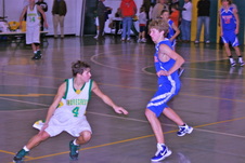 Enlarge photo 74