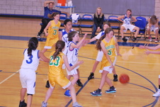Enlarge photo 40
