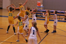 Enlarge photo 81
