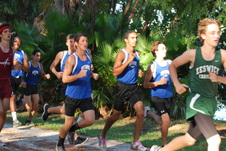 Enlarge photo 56