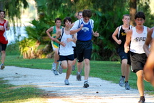 Enlarge photo 79