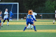 Enlarge photo 47